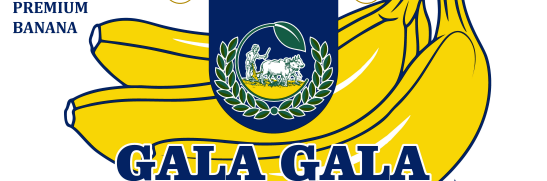 Gala Gala